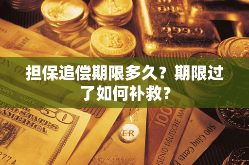 济南担保追偿期限多久？期限过了如何补救？